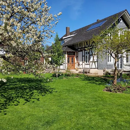 110qm Mit Balkon An Weser/glacis/city *