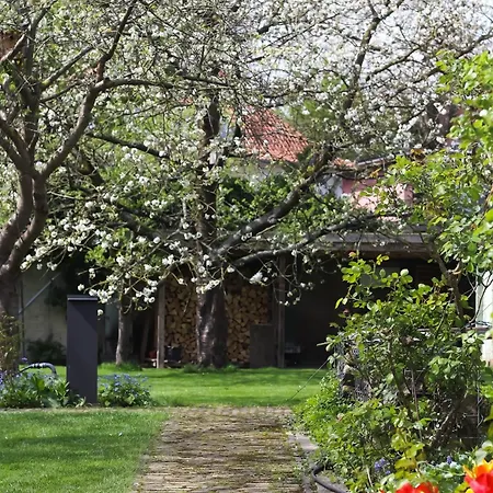 110qm Mit Balkon An Weser/glacis/city * Минден