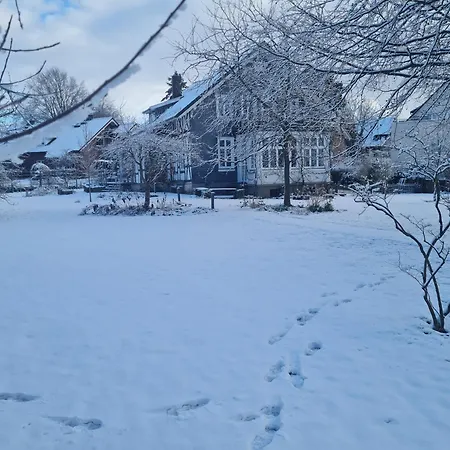 Apartament 110qm Mit Balkon An Weser/glacis/city Minden (North Rhine-Westphalia)