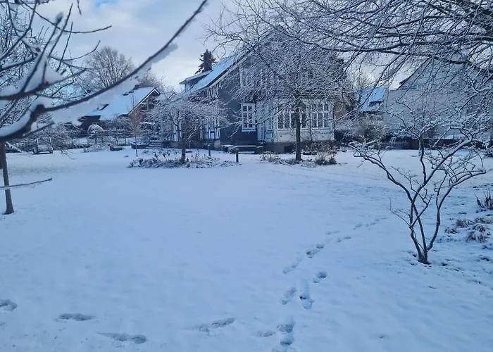 Apartament 110qm Mit Balkon An Weser/glacis/city Minden (North Rhine-Westphalia)